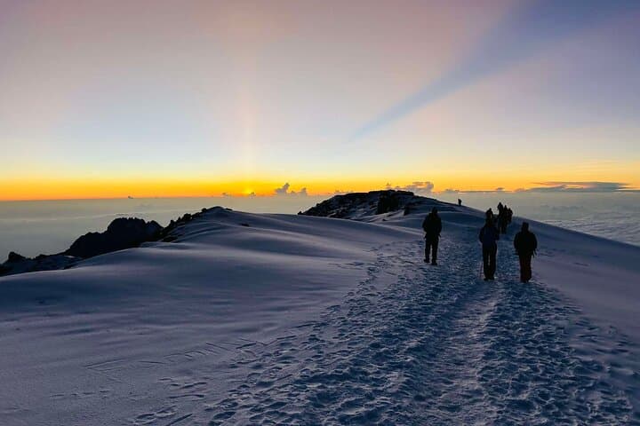 Lemosho Route 8-Day Kilimanjaro Trek: Private Guided Summit via Barafu and Mweka photo 6