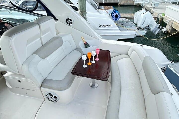 Private Luxury Yacht Charter in Miami: Haulover Sandbar, Biscayne Bay & Island Stops photo 4