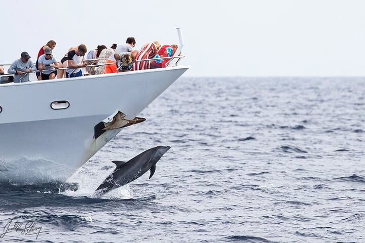 Klein Curaçao Superyacht Day Trip: Snorkel, Beach House & Shipwreck photo 6