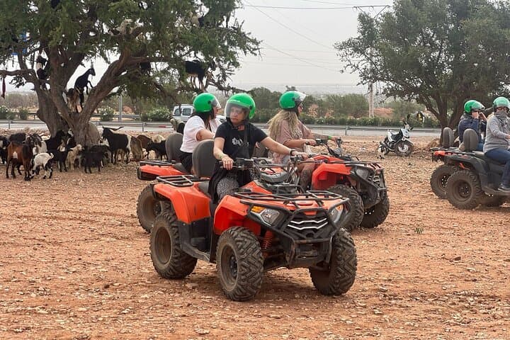Agadir ATV Adventure: Goats in Argan Trees and Moroccan Mint Tea photo 6