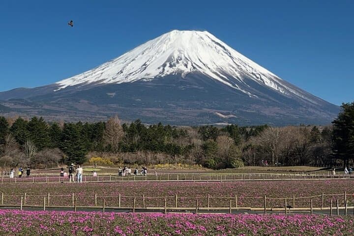 Mount Fuji & Hakone Private Day Tour — Lake Ashi, Owakudani & Hakone Shrine