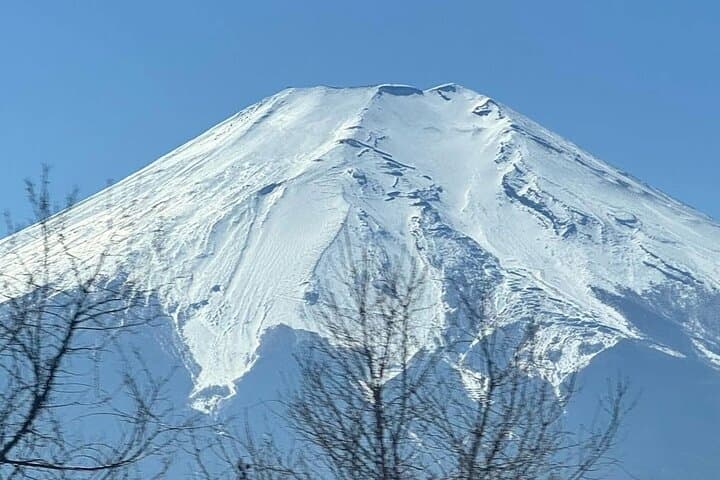 Mount Fuji & Hakone Private Day Tour — Lake Ashi, Owakudani & Hakone Shrine photo 3