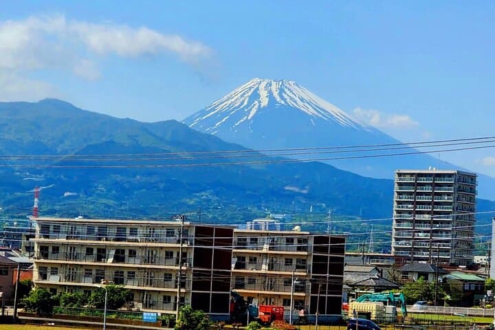 Mount Fuji & Hakone Private Day Tour — Lake Ashi, Owakudani & Hakone Shrine photo 4