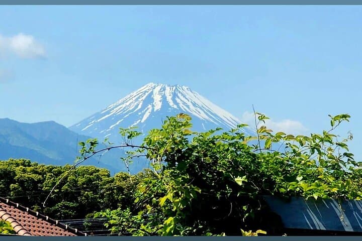 Mount Fuji & Hakone Private Day Tour — Lake Ashi, Owakudani & Hakone Shrine photo 5