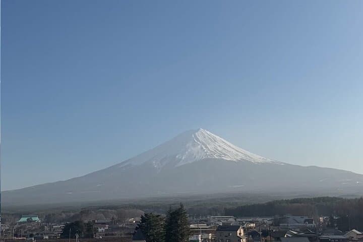 Mount Fuji & Hakone Private Day Tour — Lake Ashi, Owakudani & Hakone Shrine photo 6