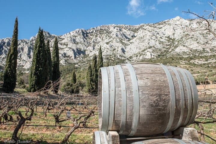 Half-Day Sidecar Wine Tour from Aix-en-Provence: Sainte-Victoire Views & Tastings photo 5