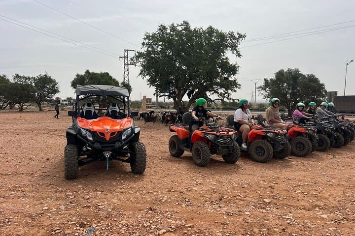 Agadir ATV Adventure: Goats in Argan Trees and Moroccan Mint Tea photo 4