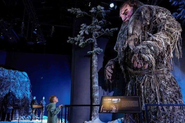 Official Game of Thrones Studio Tour from Dublin: Linen Mill Studios Admission & Coach Transfer photo 4