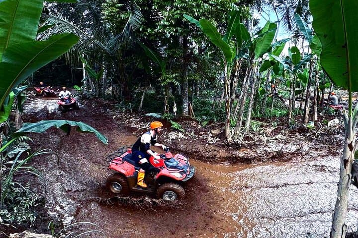 Ubud Gorilla ATV Adventure: 90-Min Quad Ride Through Rice Fields & Jungle photo 3