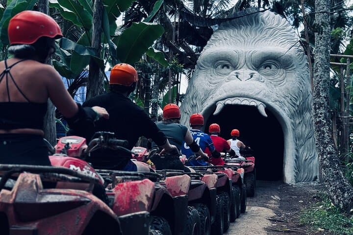 Gorilla ATV Ride and Cretya Infinity Pool — Ubud Rice-Terrace Adventure photo 4
