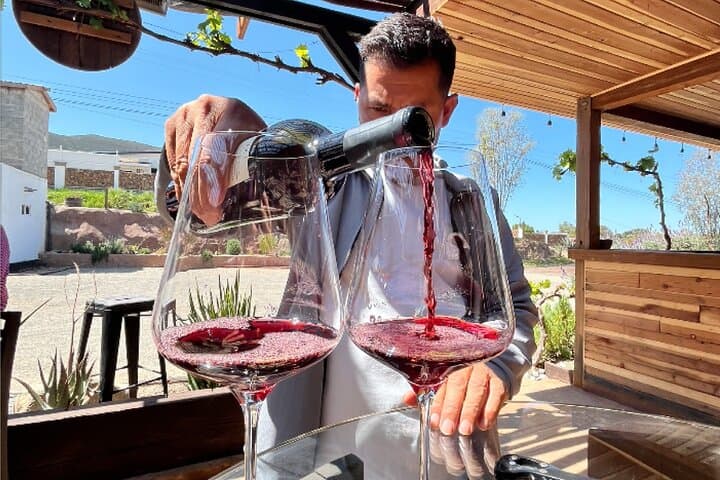 Pedal Through Valle de Guadalupe: Bike 2 Wine Vineyard Ride photo 3