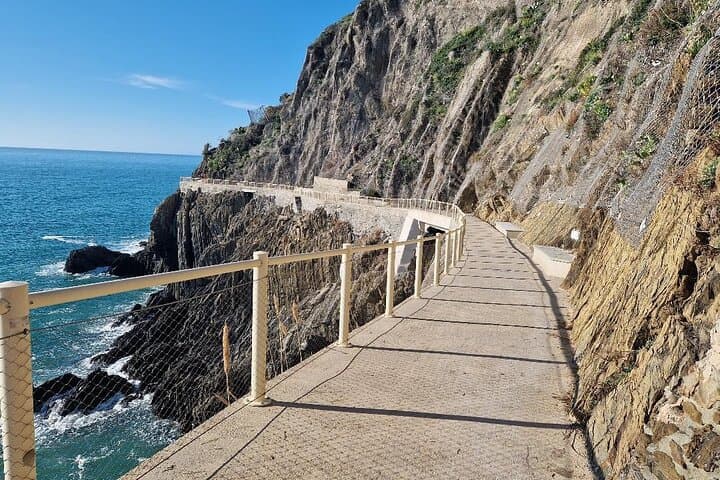 Private Full-Day Excursion to Cinque Terre & Pisa from Florence photo 4