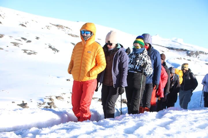 Summit Kilimanjaro via the 6-Day Machame Route: Budget Group Trek to Uhuru Peak