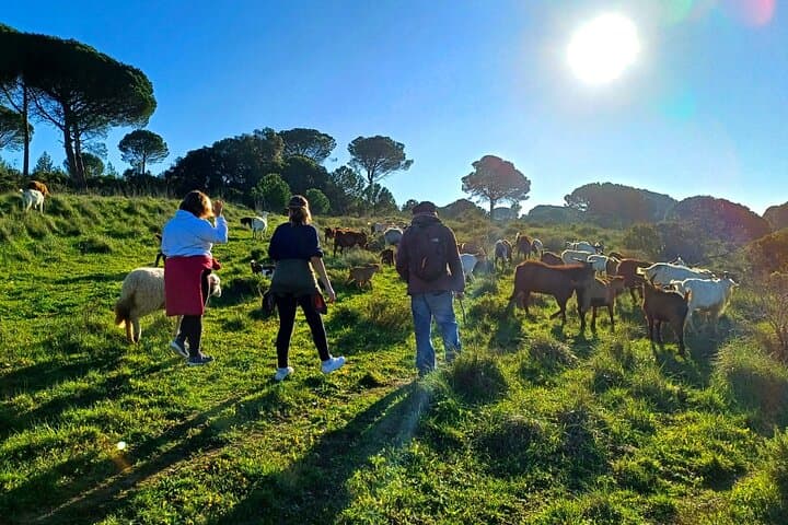 Cheese Walk with a Goat Shepherd in Azeitão — Arrábida Hike & Cheese Workshop photo 4
