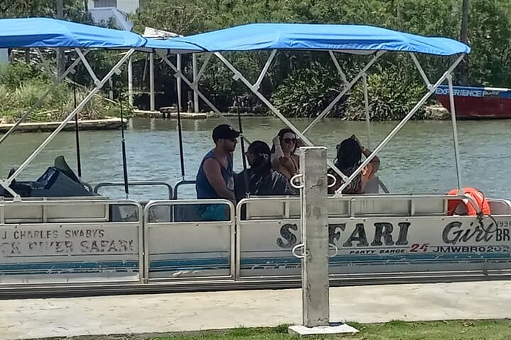 YS Falls and Black River Safari: Private South Coast Tour from Montego Bay photo 2