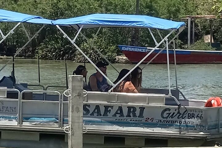 YS Falls, Black River Safari & Floyd Pelican Bar: Full-Day Falmouth Excursion photo 6