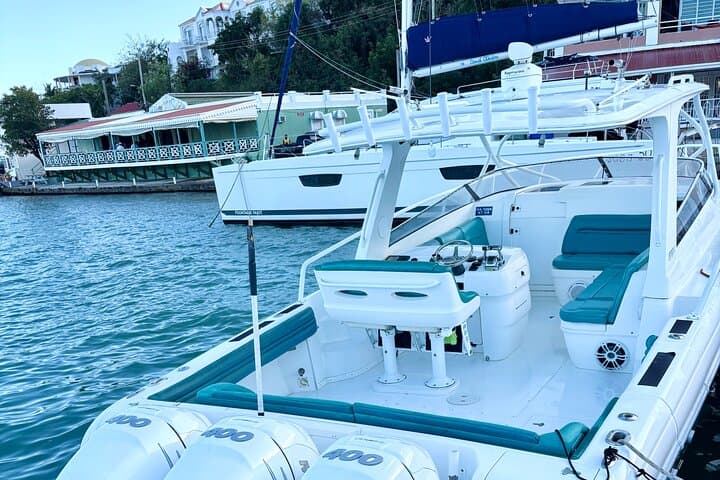 Island Hopping the British Virgin Islands: Baths, Snorkel, and White Bay photo 6