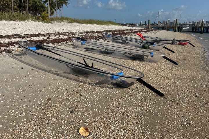 Clear-Bottom Kayak Rental to Peanut Island — Snorkel Gear & Snacks Included photo 3