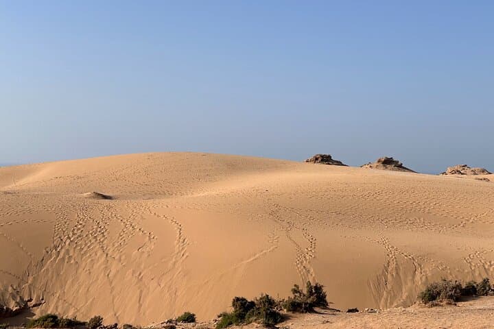 Agadir Paradise Valley & Timlaline Dunes — Day Trip with Camel Ride and Lunch photo 2