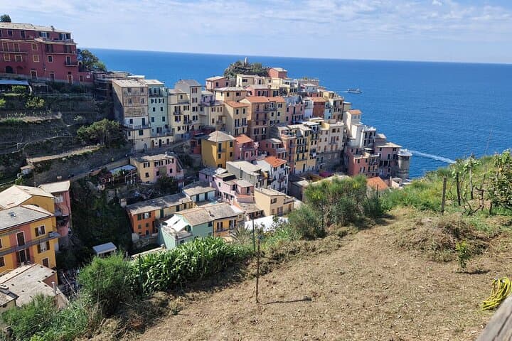 Private Full-Day Excursion to Cinque Terre & Pisa from Florence