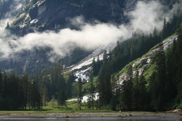 Explore Misty Fjords National Monument: Private Boat Tour from Ketchikan photo 3