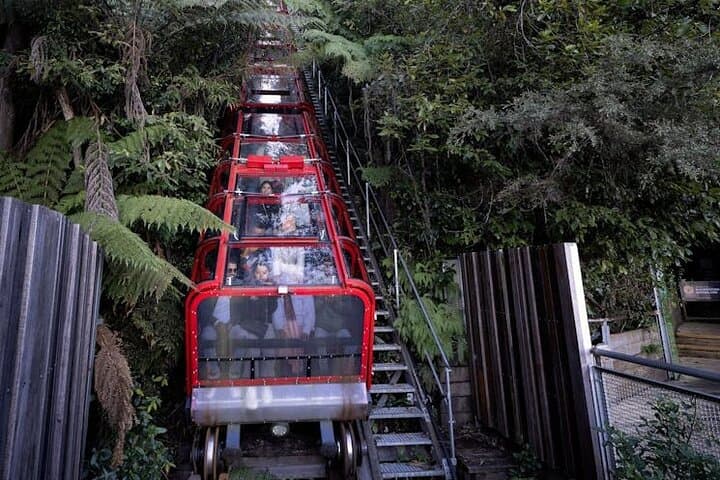 Luxury Blue Mountains Day Tour: Scenic World, Three Sisters & Private Chauffeur photo 5
