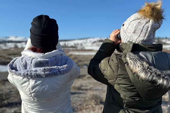 Bozeman Winter Wildlife Safari: A Guided Journey Through Yellowstone’s Snowbound Lamar Valley photo 4