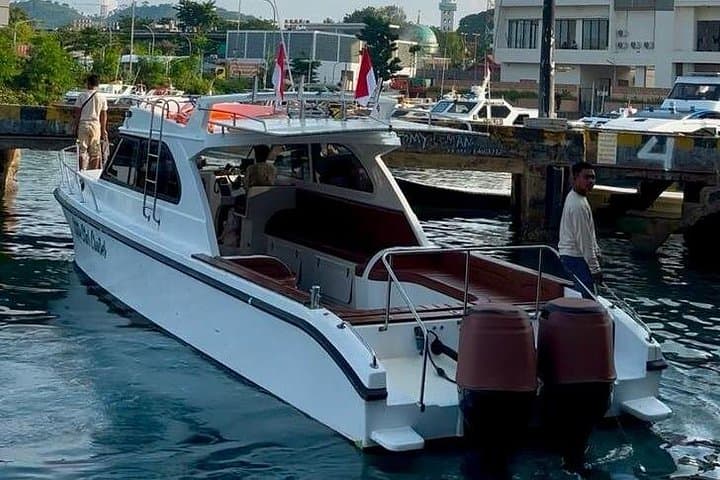 Early Morning Komodo Speedboat Tour: Padar, Pink Beach & Manta Snorkel photo 4