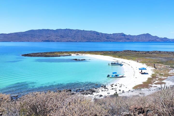 Coronado Island Day Trip from Loreto: Snorkel with Sea Lions & Beach Lunch photo 4