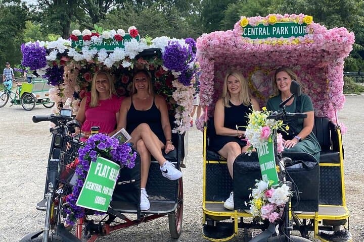 Central Park Private Pedicab Tour: Iconic Landmarks & Local Stories