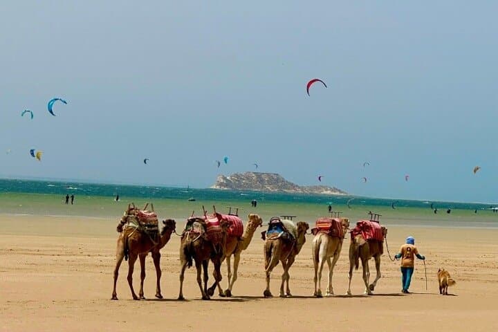 Dakhla Adventure: Dune Drives, Quad Biking & Lagoon Escape photo 3