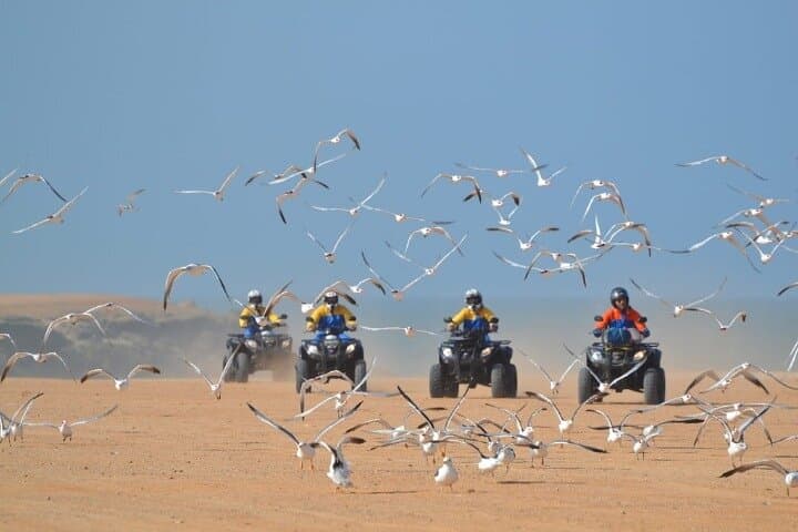 Dakhla Adventure: Dune Drives, Quad Biking & Lagoon Escape photo 4