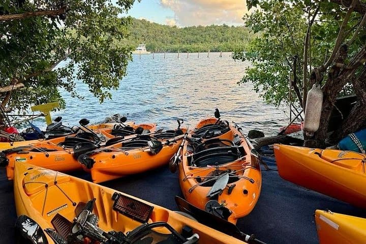 Salt River Bay Guided Kayak Tour: Ecology, Taino History & Mangroves photo 1