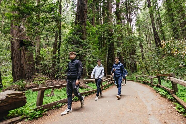 Muir Woods and Sausalito Half-Day Trip: Redwoods, Golden Gate Views and Ferry Return photo 4