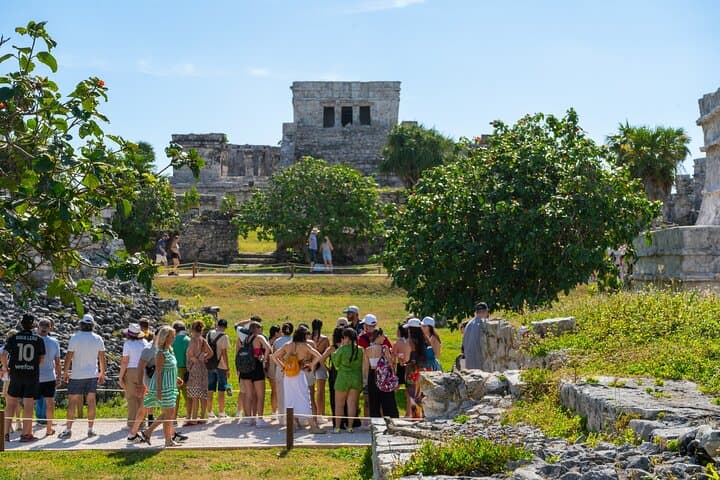Private Tulum Ruins Tour and Akumal Turtle Snorkel — Half-Day from Playa del Carmen