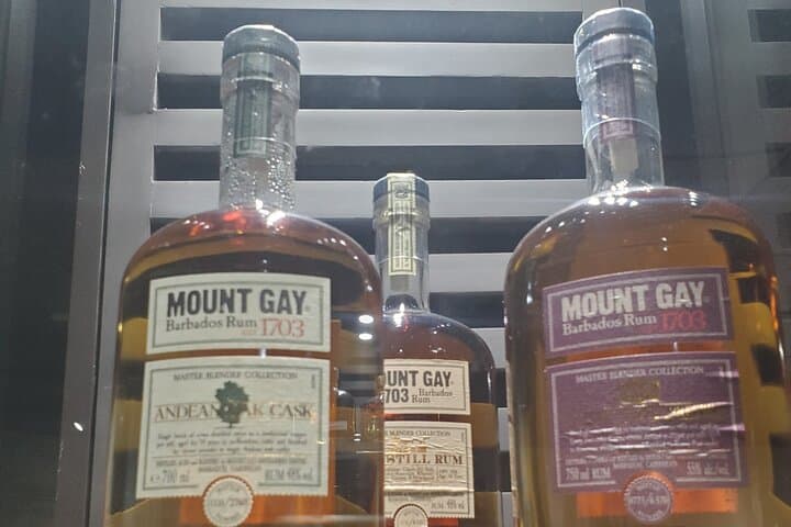 Barbados Rum Tours: Mount Gay Distillery & Bathsheba Coastal Tasting Experience photo 4