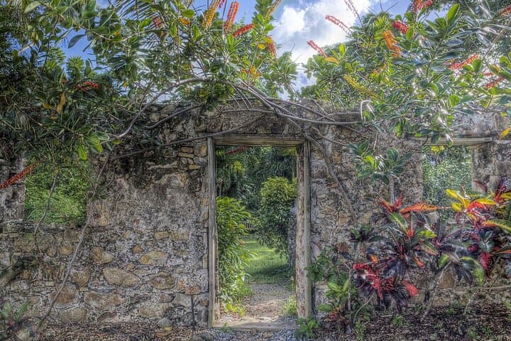 Frederiksted Walking Tour: Botanical Garden, Cruzan Rum & Rainbow Beach