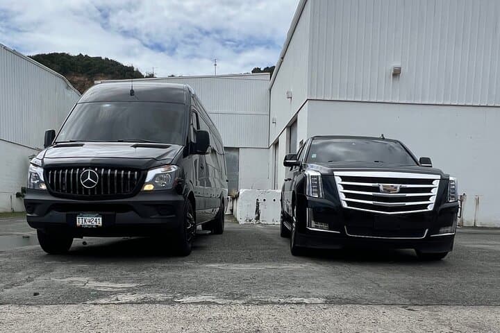 St. Thomas Airport Transfer to Red Hook Ferry — Private Air-Conditioned Transfer photo 2