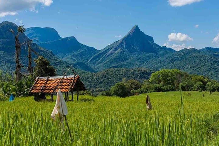Camping in Meemure: Two-Day Knuckles Range Escape from Colombo