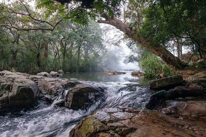 Camping in Meemure: Two-Day Knuckles Range Escape from Colombo photo 2