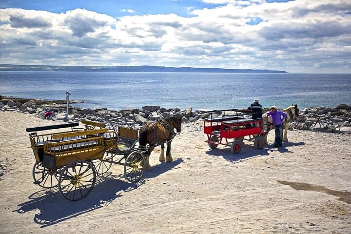 Galway Bay in a Day: Connemara, Inisheer, Cliffs of Moher & the Burren photo 4