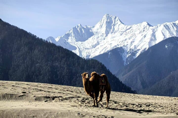 7-Day Private Overland Road Trip from Chengdu to Lhasa via G318