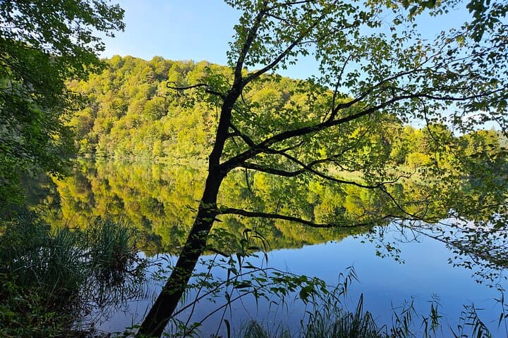 Plitvice Lakes Group Walking Tour — Boardwalks, Kozjak Boat Ride & Big Waterfall photo 6