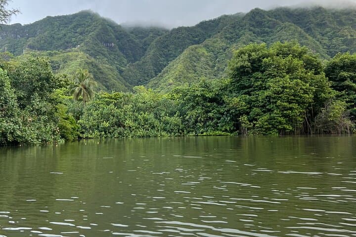 Kahana River Kayak: Paddle Under Oahu’s Rainforest Canopy