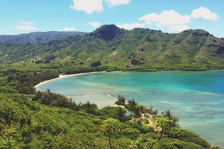 Kahana River Kayak: Paddle Under Oahu’s Rainforest Canopy photo 5