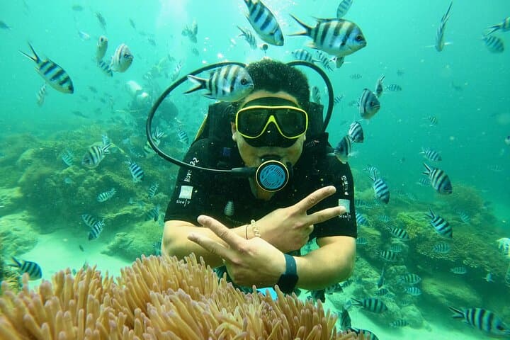 Nha Trang Two-Dive Scuba Experience with Lunch at Marine Park photo 3