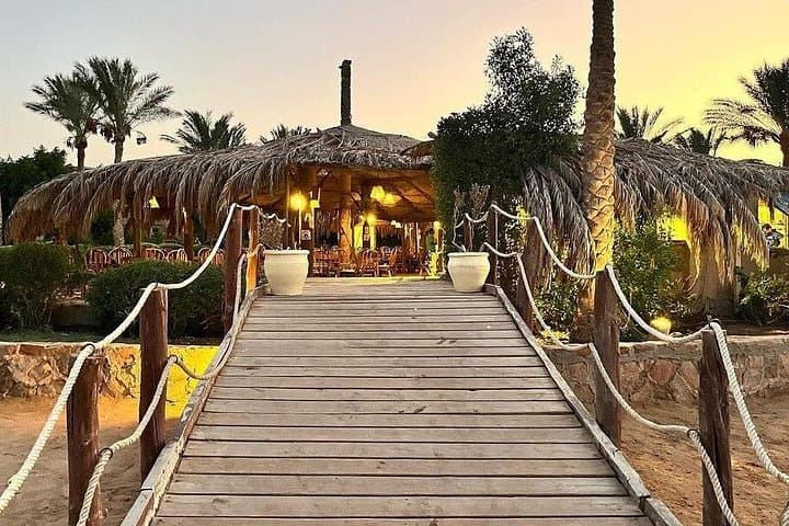 Sharm El Naga Coral Reserve Day Trip — Snorkel Soma Bay with Lunch photo 4
