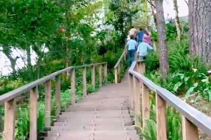 airport-transfer-to-el-boqueron-national-park-san-salvador-volcano photo 3