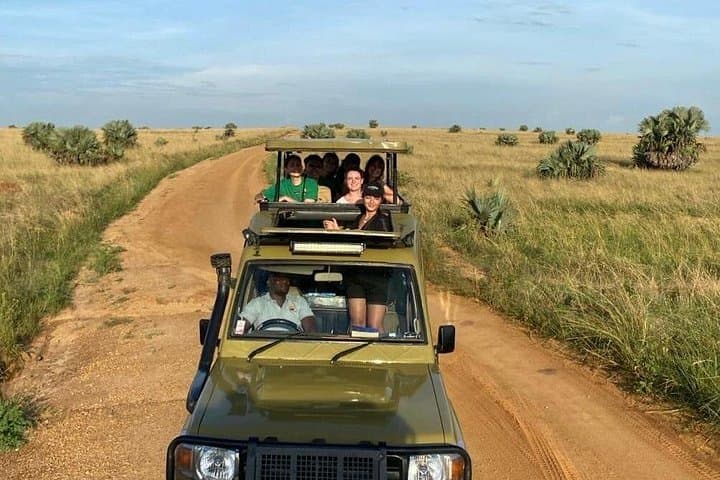 Murchison Falls 2-Day Safari: Game Drives, Rhino Tracking & Nile Boat Cruise photo 4
