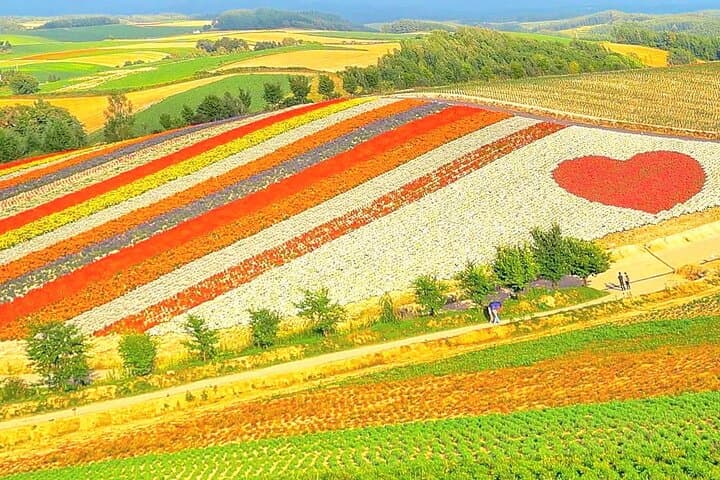 Hokkaido Day Tour: Asahiyama Zoo, Blue Pond & Farm Tomita in One Day photo 2